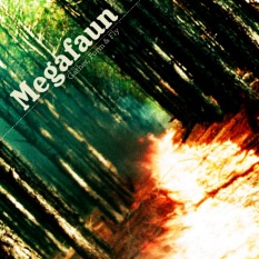 First Look: Megafaun - "Gather, Form & Fly"