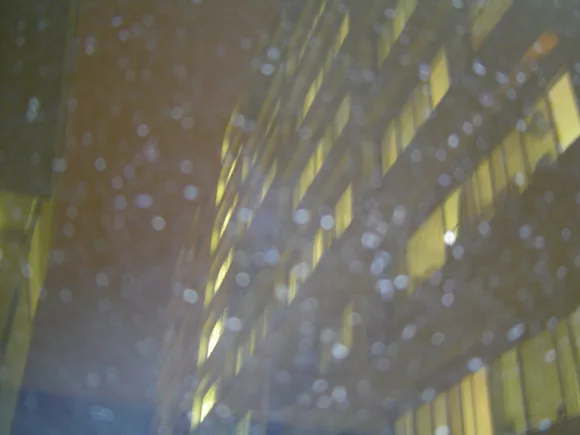 Rain at UCLA