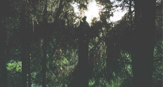 In Rotation: Weird Dreams - 'Choreography'