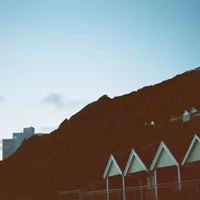 Bos Angeles