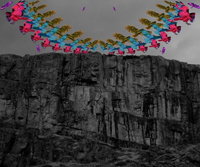 New Music: Futurebirds - "Battle For Rome"