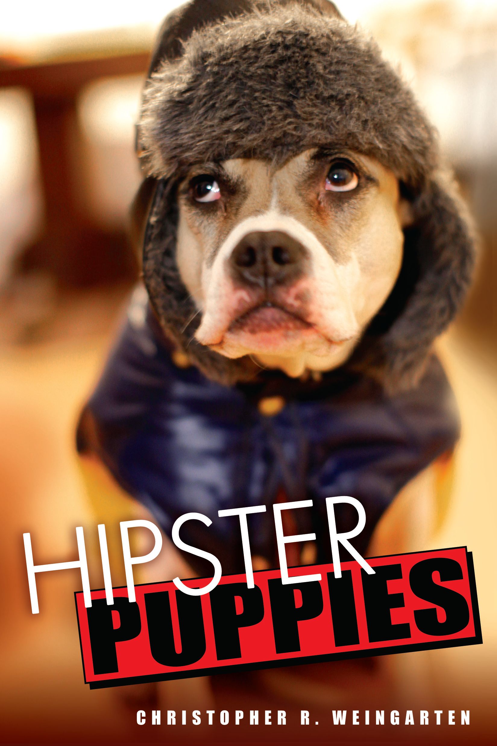In which we endorse the 'Hipster Puppies' book