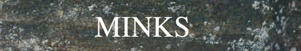 Minks - 'By The Hedge'