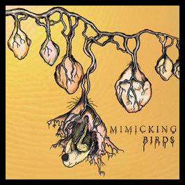 First Look: Mimicking Birds - S/T