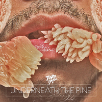 First Look: Toro Y Moi - 'Underneath the Pine' (2011)